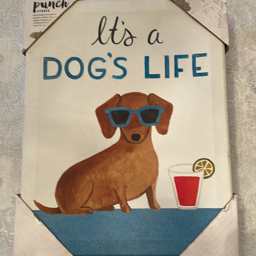 It’s a Dog’s Life” wrapped Dachshund canvas Print. - Picture 9 of 9
